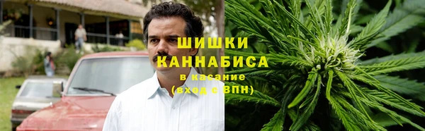 дживик Абаза