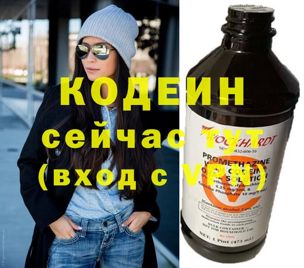 дживик Абаза