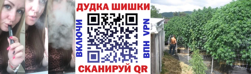 МАРИХУАНА ГИДРОПОН Дмитровск